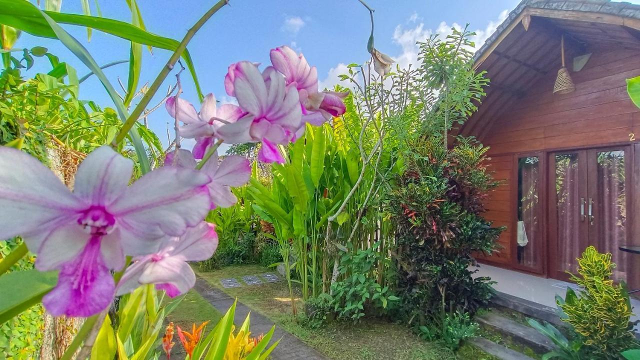 Morning Bali Bungalow Canggu Esterno foto